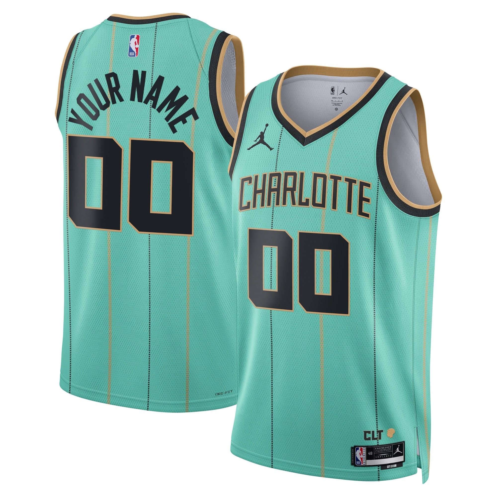 Charlotte Hornets Jordan City Edition Swingman Jersey 2024 Custom Unisex Multicolor