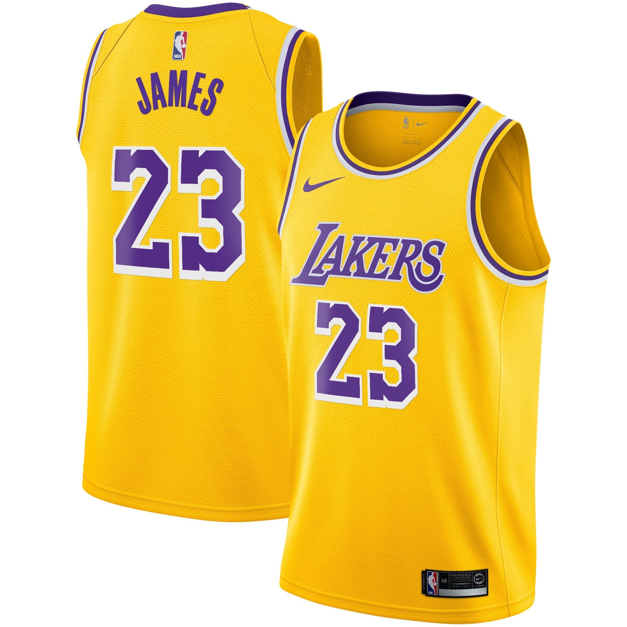 Los Angeles Lakers LeBron James Icon Swingman Youth Jersey Multicolor