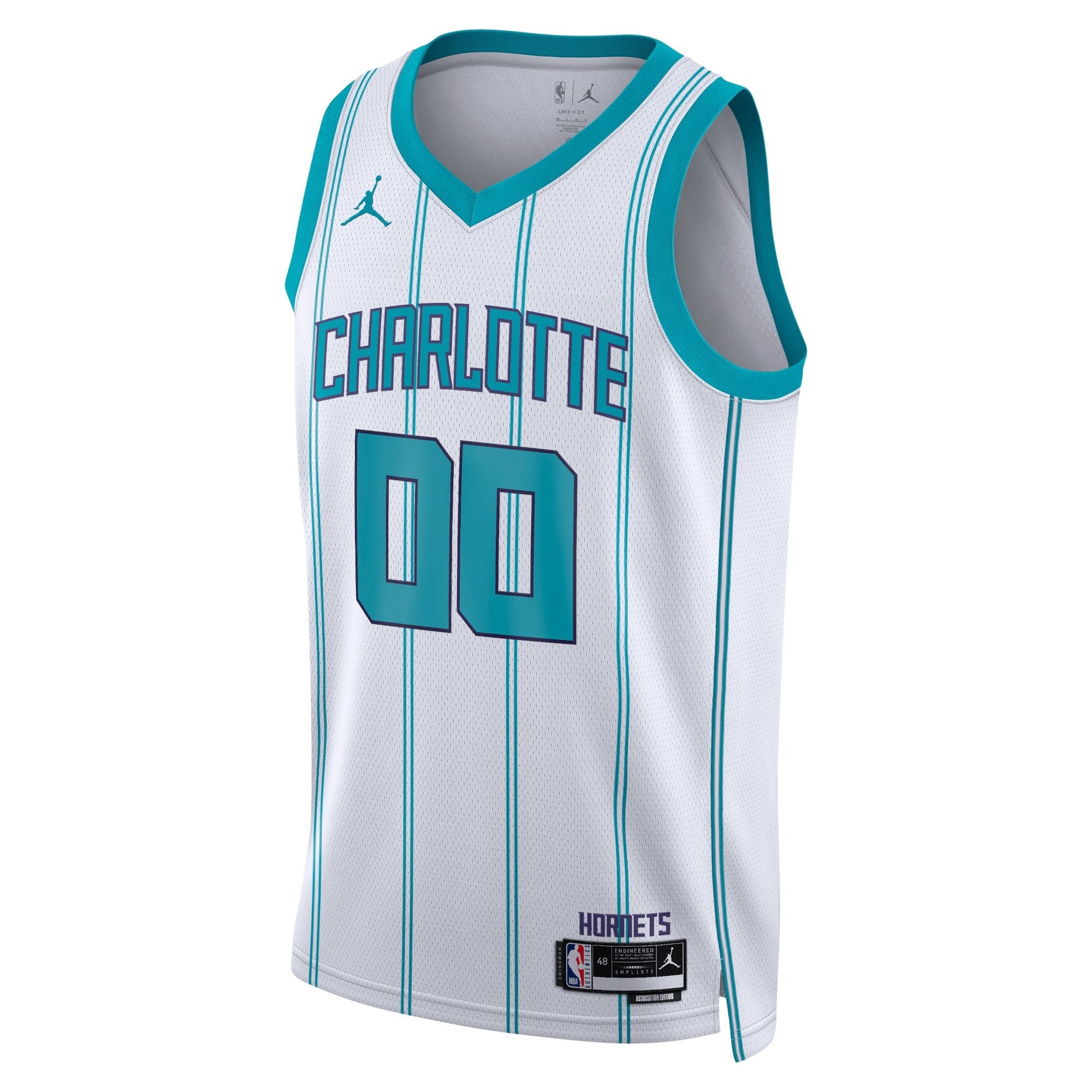 Charlotte Hornets Jordan Association Edition Swingman Jersey - Custom Unisex Multicolor