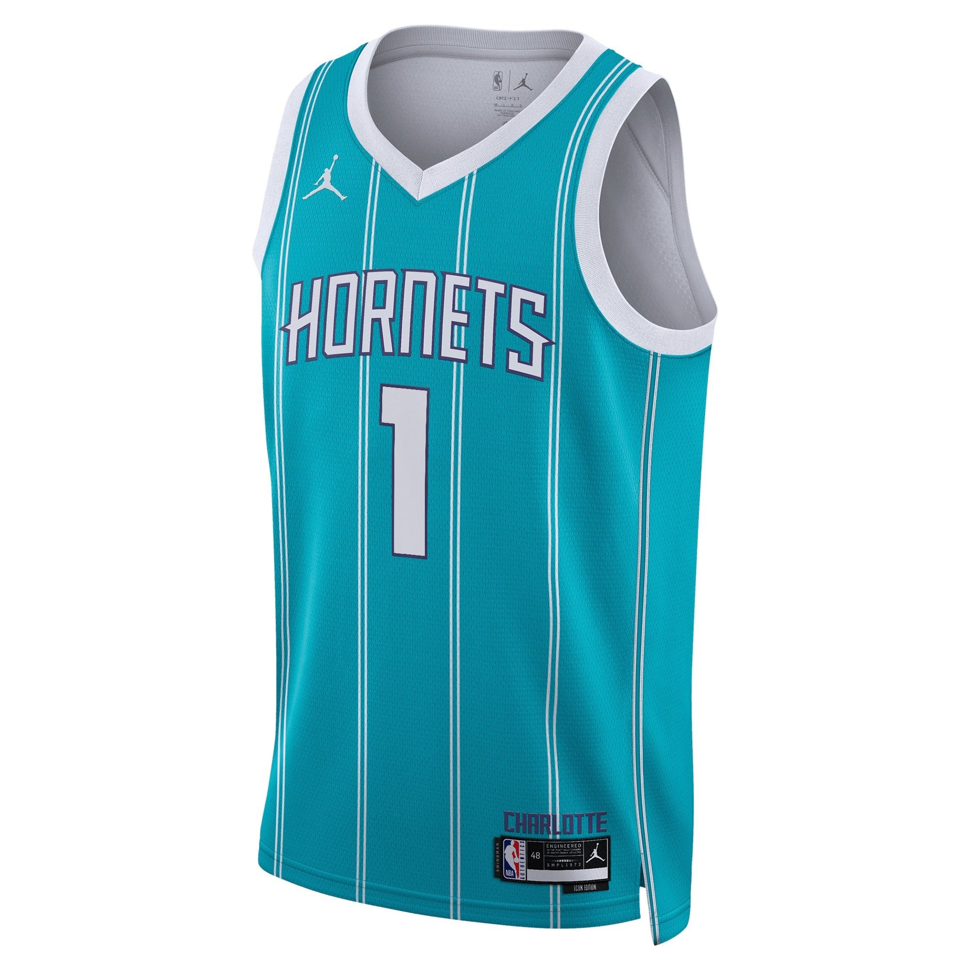 Charlotte Hornets Jordan Brand Icon Edition Swingman Jersey Teal LaMelo Ball Unisex