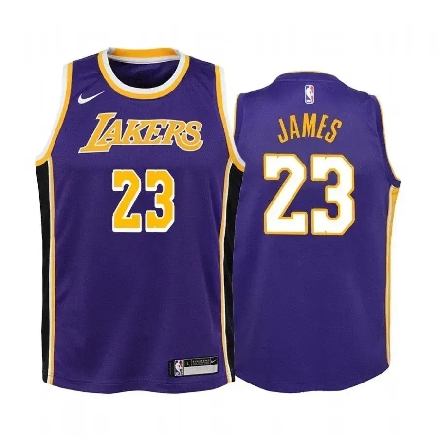 Youth LeBron James Los Angeles Lakers Purple State Jersey Unisex