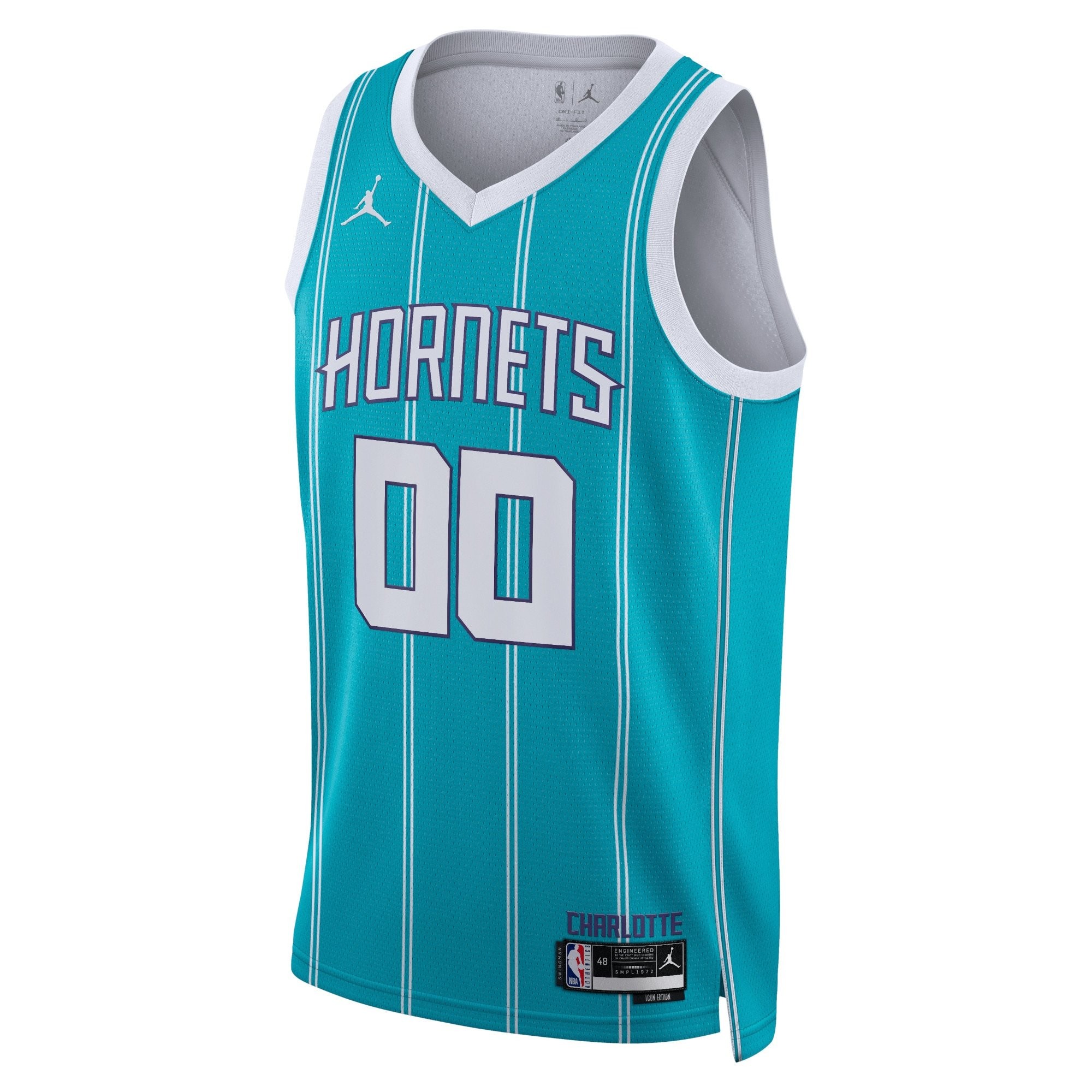 Charlotte Hornets Jordan Icon Edition Swingman Jersey - Custom Unisex Multicolor