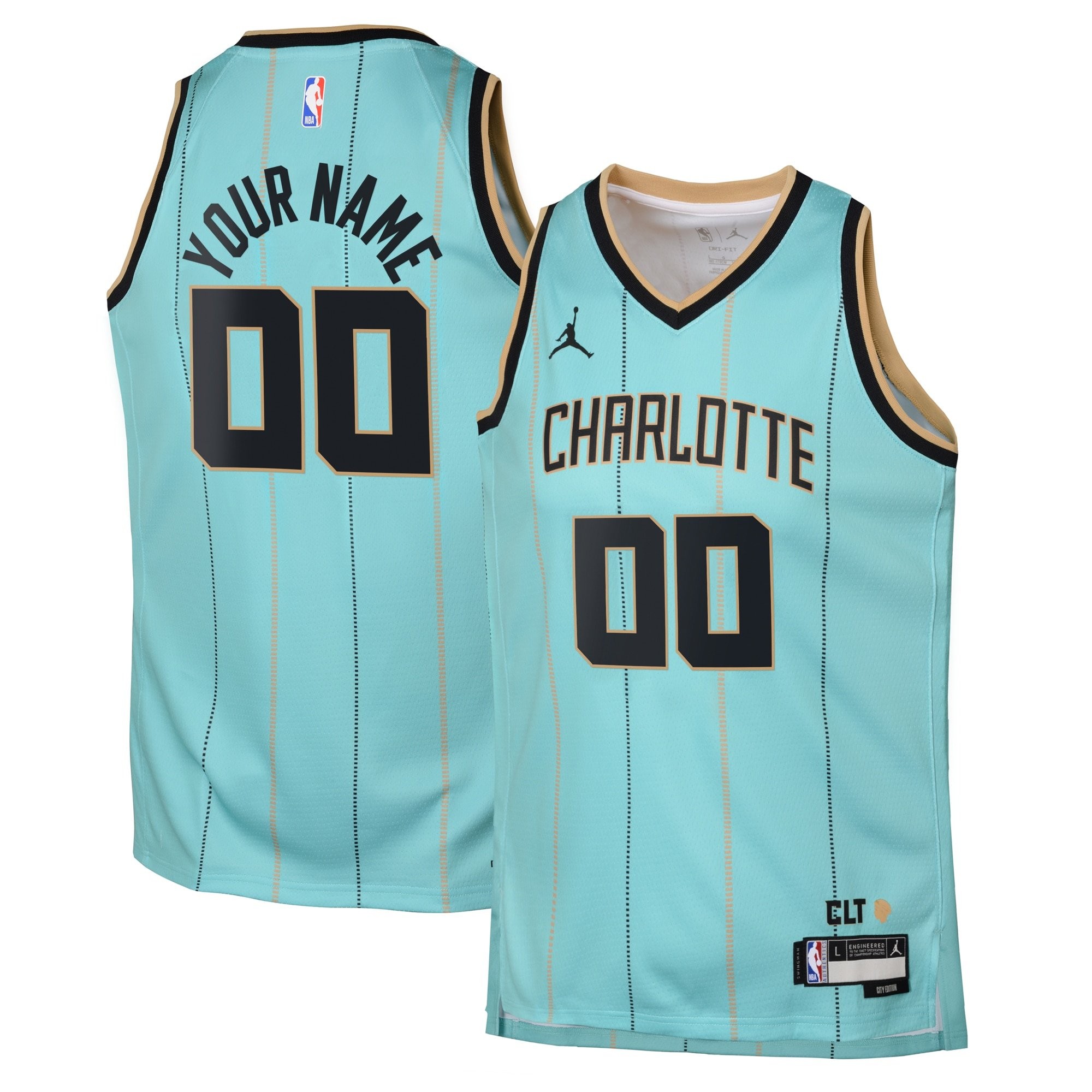 Charlotte Hornets Jordan City Edition Swingman Jersey 2024 Custom Youth Multicolor