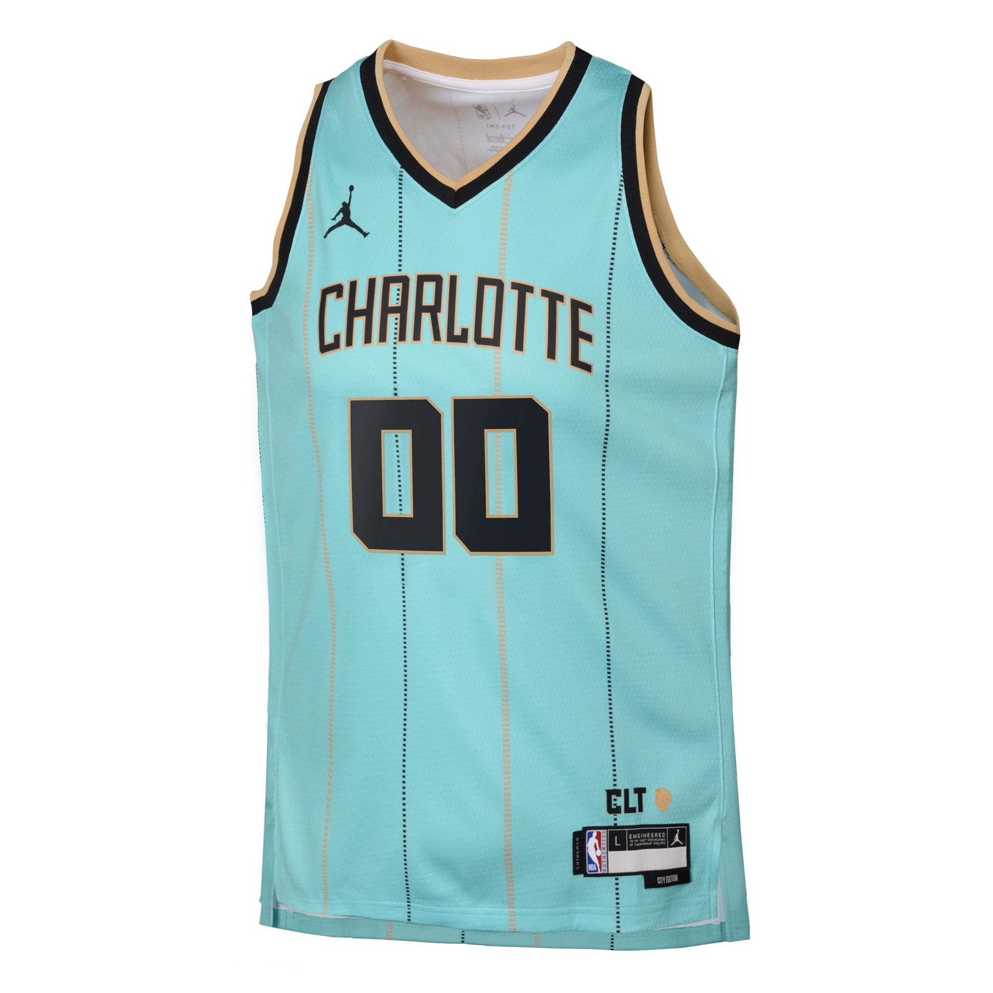 Charlotte Hornets Jordan City Edition Swingman Jersey 2024 Custom Youth Multicolor - Image 2